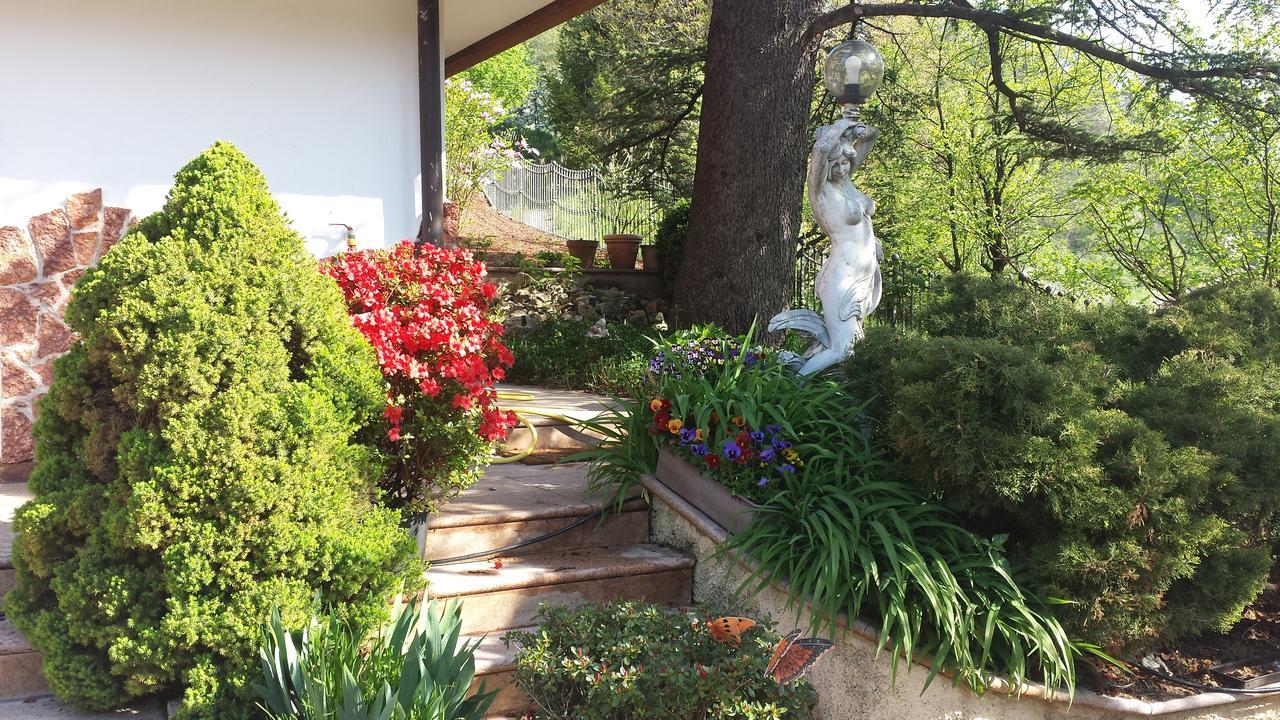 B&B Al Cedro Sporminore Exterior photo